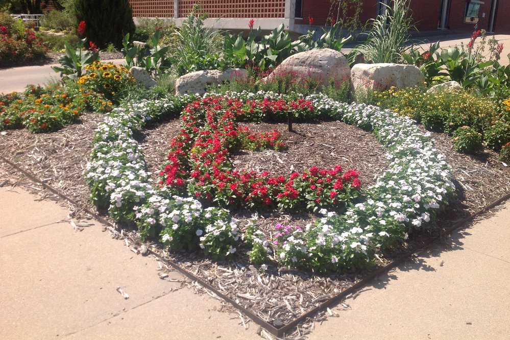 El Dorado E Flower Garden